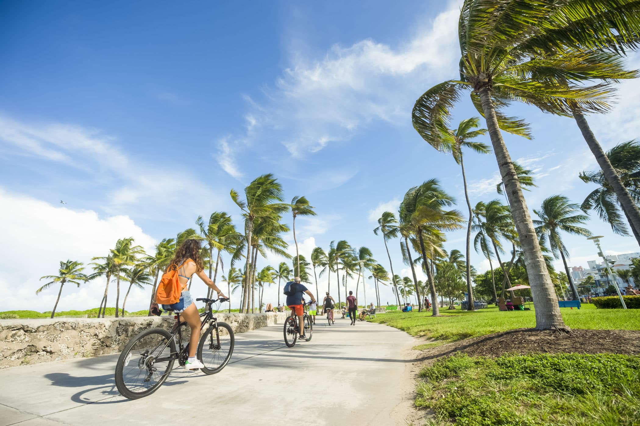 Bright scenic morning view of the beachfront promenade in Lummus Park adjacent to historic Ocean Drive in South Beach, Miami, Florida